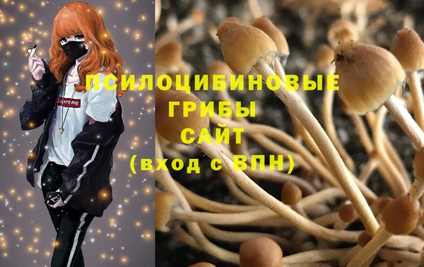 стафф Магас
