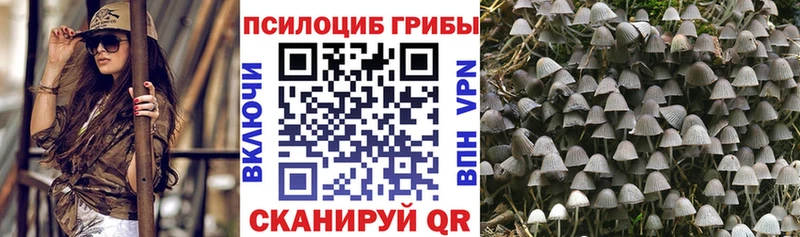 Псилоцибиновые грибы мицелий  Купить закладки  Шелехов 